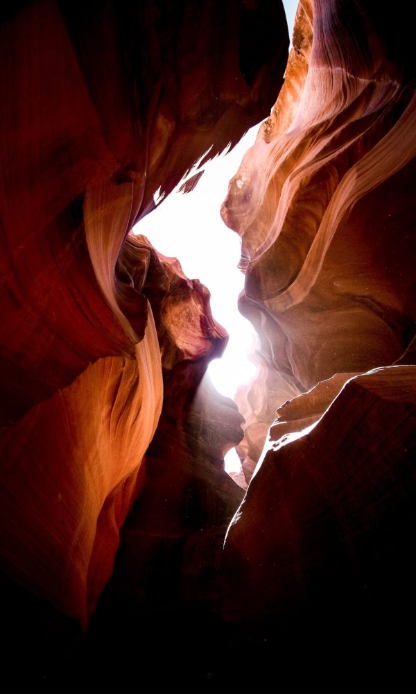 jeremy-bishop-4vm6v0KmCS8-unsplash jeremy-bishop-4vm6v0KmCS8-unsplash