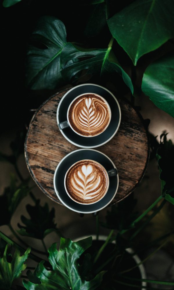 nathan-dumlao-c2Y16tC3yO8-unsplash