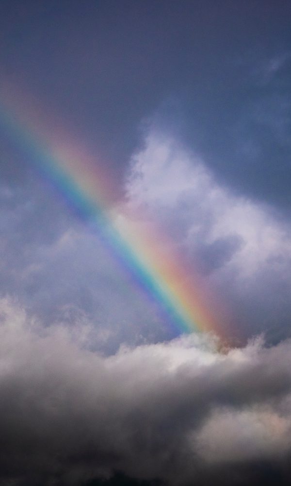 yulia-gadalina-vey6D0c2A_0-unsplash yulia-gadalina-vey6D0c2A_0-unsplash